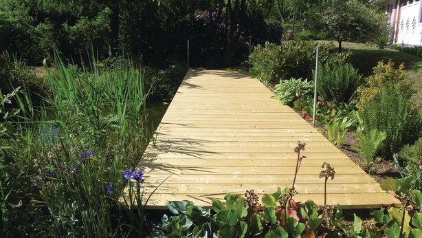 A wooden pathway leading through a garden with various plants and a building in the background.