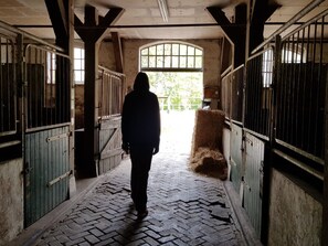 Botón de imagen sin clasificar, 5 de 31