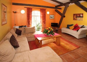 TV - Apartment 4 - The dog - Holidays at the castle Duckwitz (Behren-Lübchin)