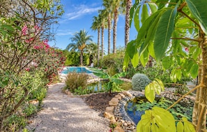 Un jardí amb piscina, palmeres i una gran varietat de plantes.