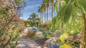 Ein Garten mit Pool, Palmen und verschiedenen Pflanzen.