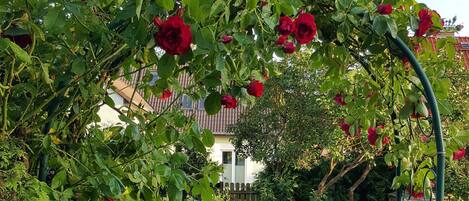 تفاصيل الفندق من الخارج