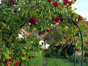 Image sans description, 5 de 31, bouton