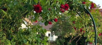 Bonito apartamento en el centro del distrito de los lagos - apartamento