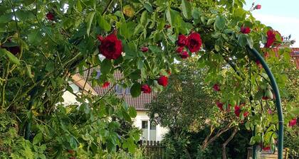 Schnuckelige Ferienwohnung mitten in der Seenplatte - Ferienwohnung