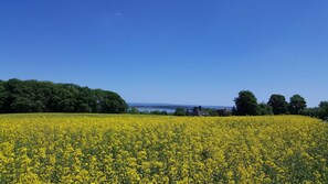 Image sans description, 3 de 31, bouton