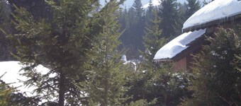 Holiday apartment with private entrance in the ski resort