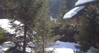 Ferienwohnung mit eigenem Eingang im Skiort