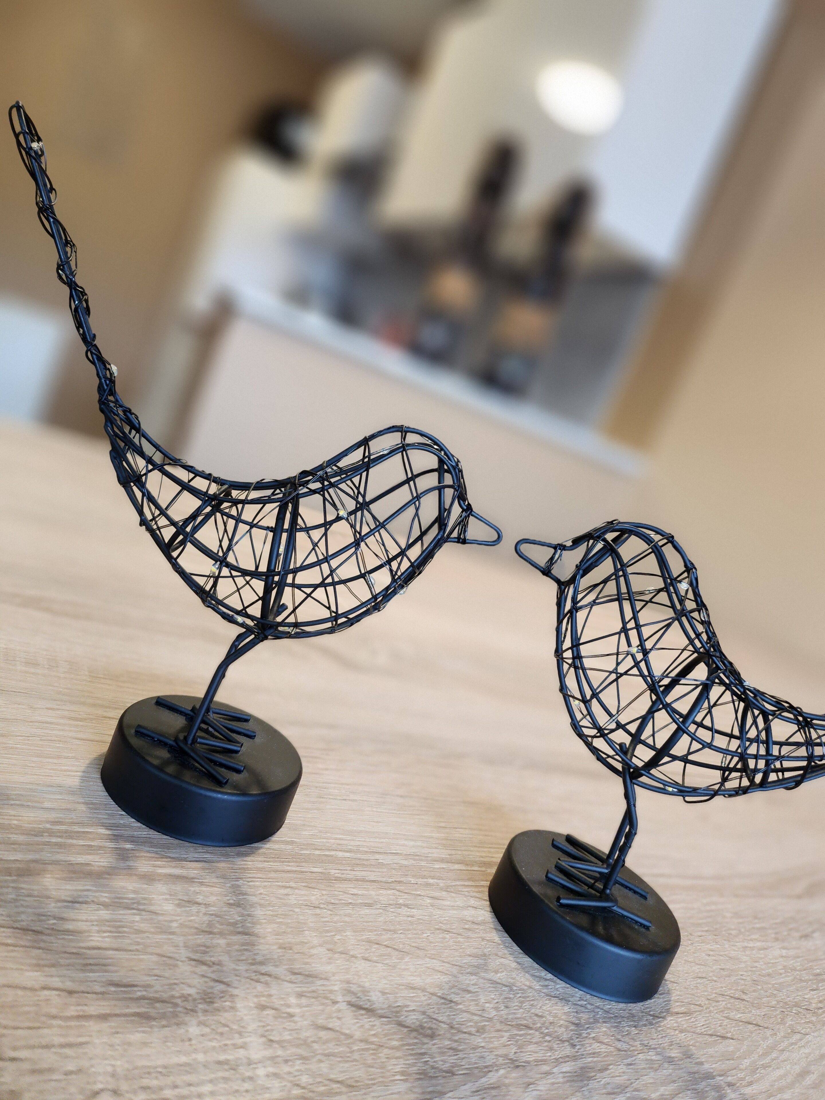 Two wireframe bird sculptures on a wooden surface.