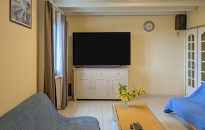 Télévision, cheminée, lecteur de DVD