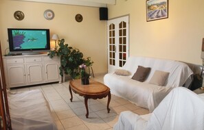 TV, fireplace, DVD player