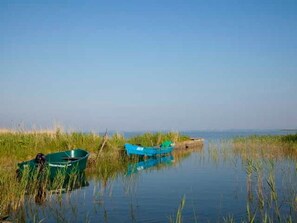 Miscellaneous - Ferienhaus Kranichblick am Bodden (Saal)