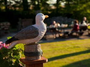 Opções para refeição ao ar livre