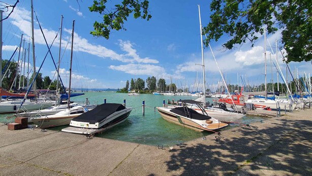 Ein Yachthafen mit mehreren vor Anker liegenden Booten, einem klaren Himmel und Bäumen im Hintergrund.