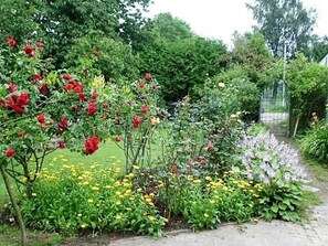 A garden with various plants and flowers, including red roses and yellow flowers.