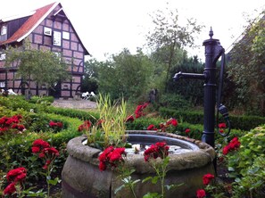 Niet-geclassificeerde afbeelding, 3 van 35, knop