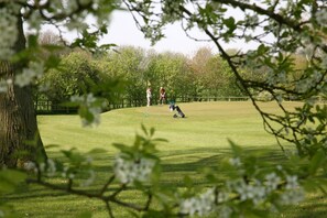 A golf course with a tree in the foreground and a person in the distance.