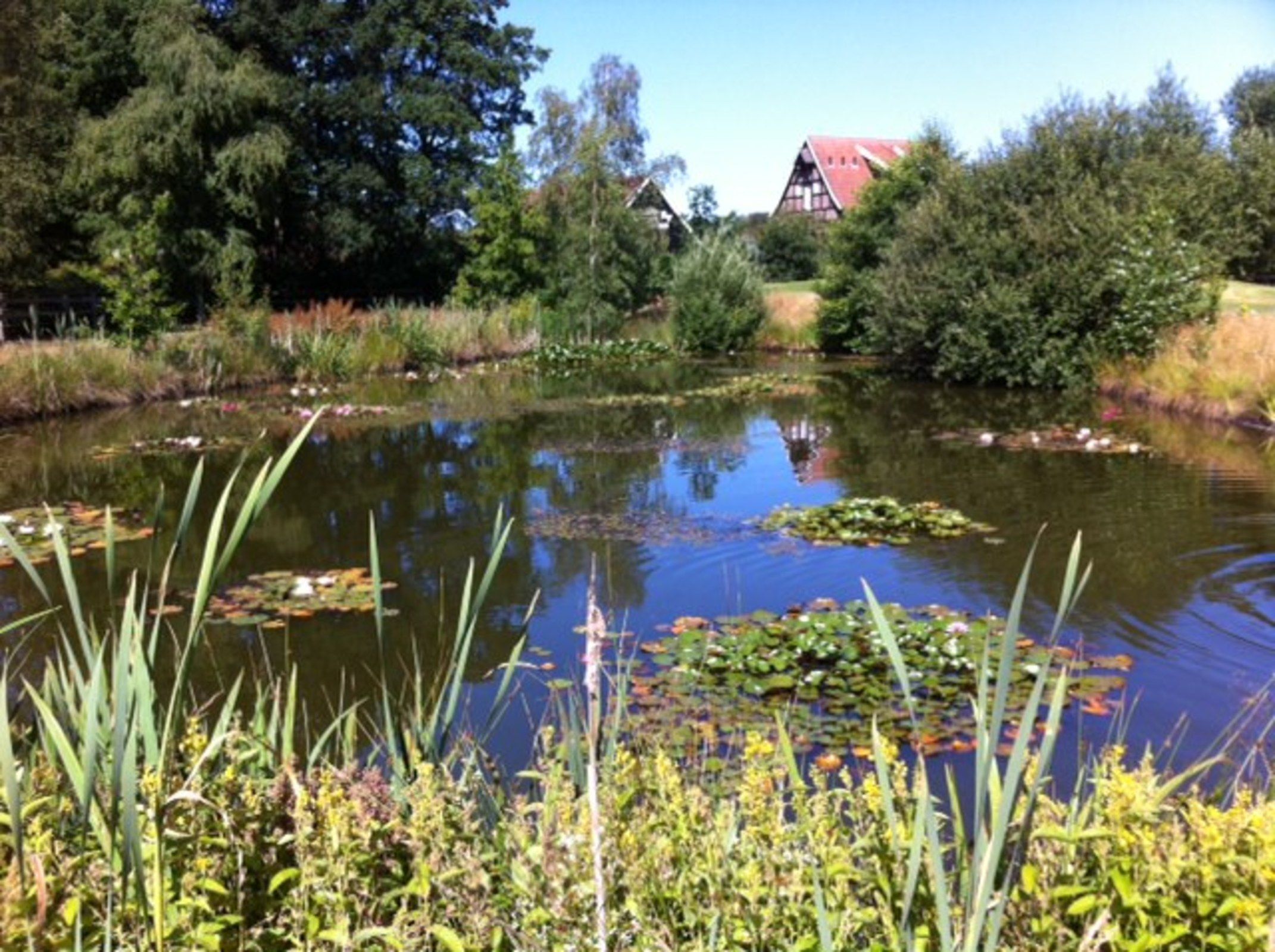 Terrein van de accommodatie