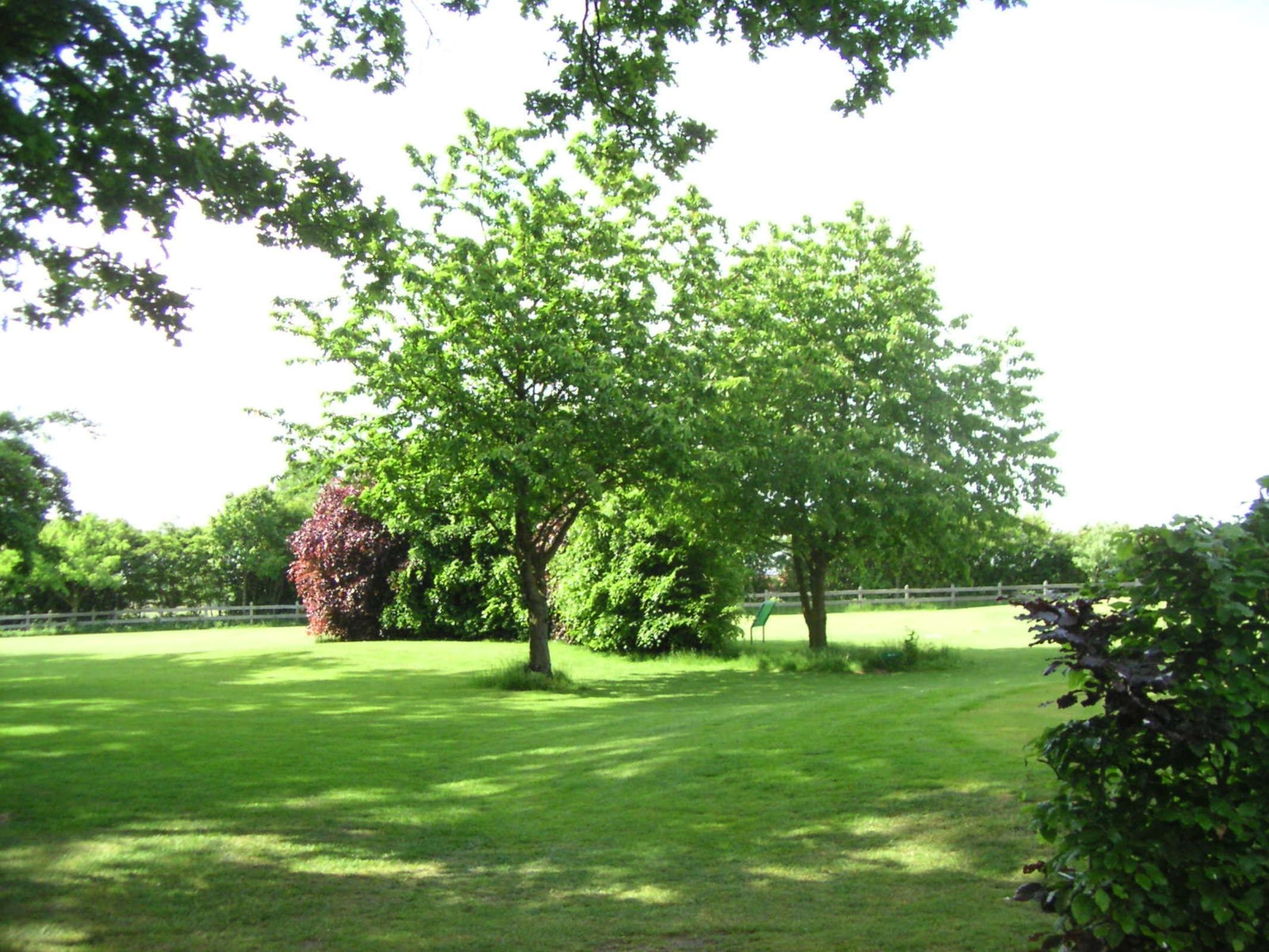A grassy outdoor area with trees and a white fence.