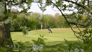 Ein Golfplatz mit einem Baum im Vordergrund und einer Person in der Ferne.