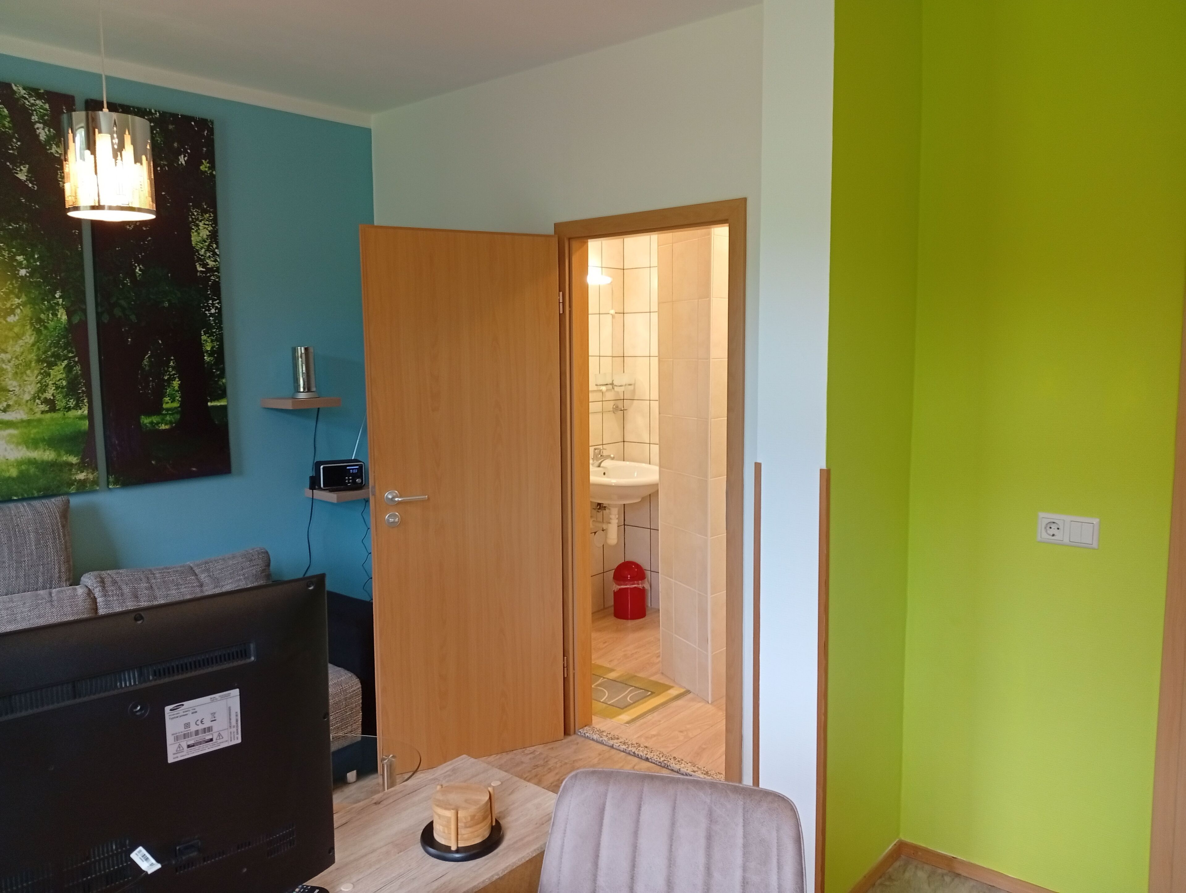 Une pièce de taille modeste, dotée d’un téléviseur, d’une porte en bois donnant sur une salle de bain et d’un mur peint en vert.