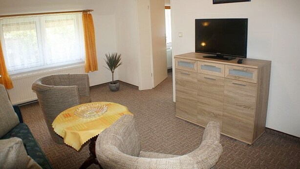 A living room with a sofa, armchair, TV, wooden cabinet, and a potted plant. - App 2 (40m²) - Rügen-Fewo 267 (Mönchgut)