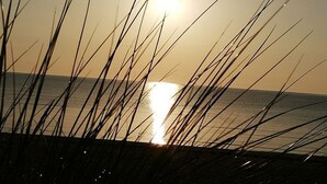 A sunset over water with tall grasses in the foreground.