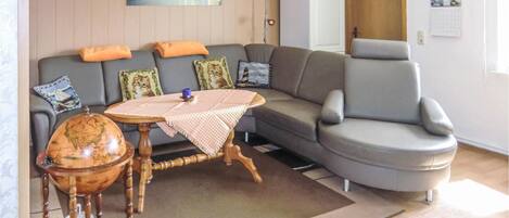 Télévision, lecteur de DVD, table de tennis de table