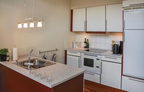 Fridge, microwave, stovetop, dishwasher