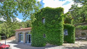 A stone building partially covered in ivy, with a gravel driveway and a red tractor nearby. - Cozy home in Castiglion F. AR (Castiglion F. AR)