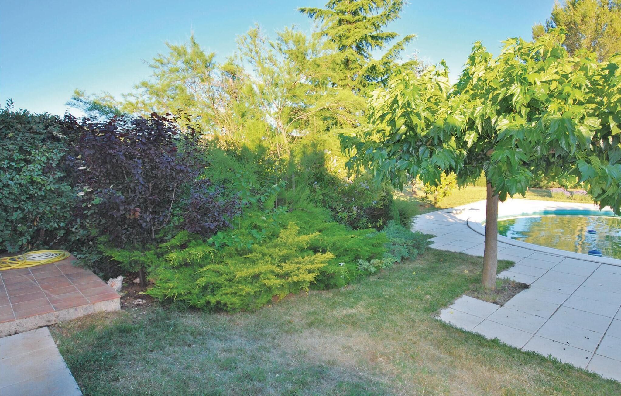 A garden with a swimming pool, a hose, and a variety of plants.