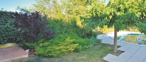 A garden with a swimming pool, a hose, and a variety of plants.