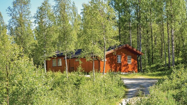 Deux cabanes en bois, entourées d’une forêt dense, auxquelles mène un sentier de terre.