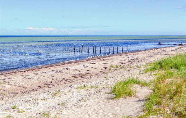 بالقرب من الشاطئ