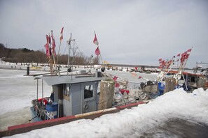 Unclassified image, 5 of 19, button