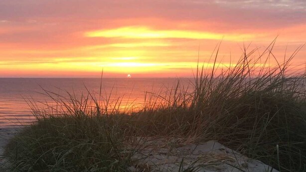 A beach scene with a sunset, sand dunes, and grass in the foreground.