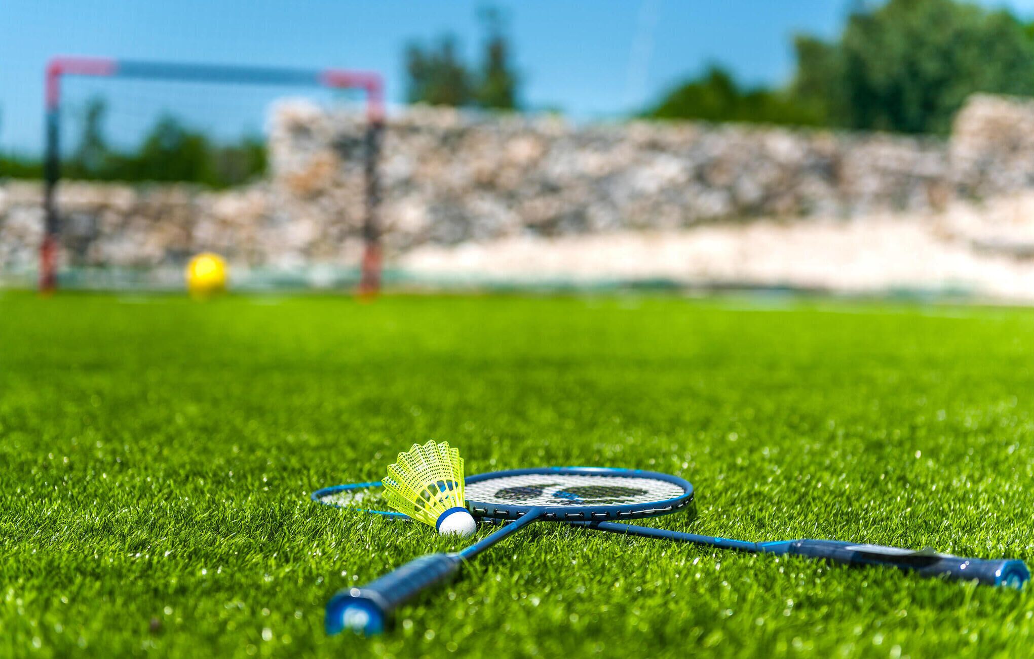 En badmintonbana med en fjäderboll, ett racket och ett nät på gräsmattan.