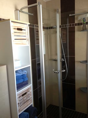 Shower, hair dryer, towels