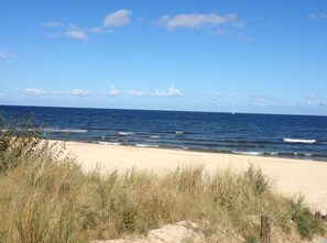 Ranta