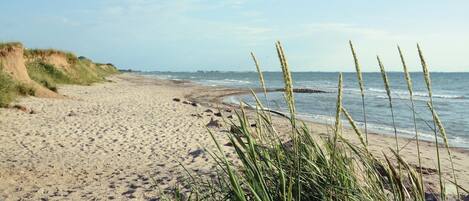 In Strandnähe, Angeln