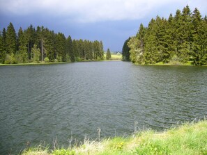 Image sans description, 4 de 15, bouton