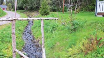 Ărea da propriedade