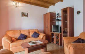 Televisio, DVD-soitin