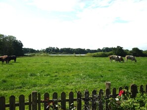 Uklassifisert bilde, 5 av 16, knapp