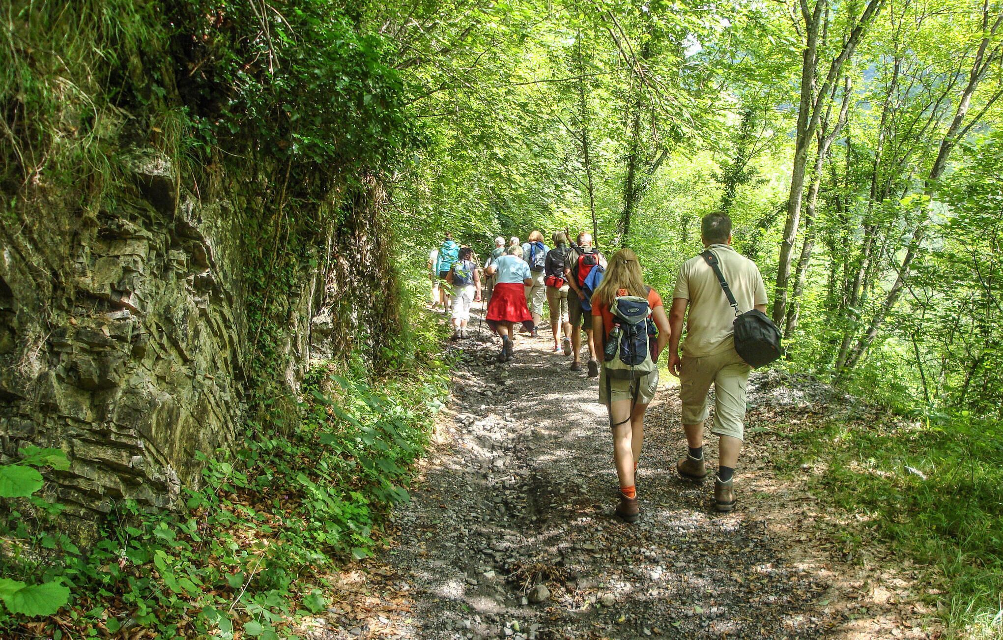 Un groupe de randonneurs sur un sentier rocailleux, entouré d’une végétation luxuriante.
