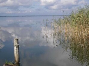 Unclassified image, 3 of 13, button