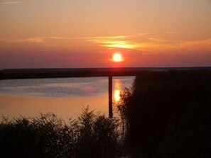 Unclassified image, 4 of 13, button