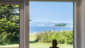 A view through a window with a cactus in the foreground, a grassy area, and a body of water with a distant shoreline. - Nice home in Knebel with sauna (Knebel)