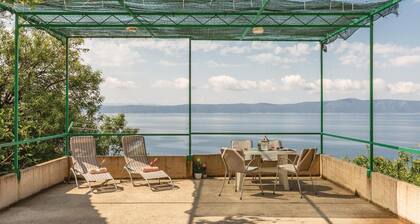 Maison acceptant les animaux de.