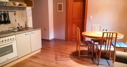 Landhaus Ramsauer - Holiday apartment north side